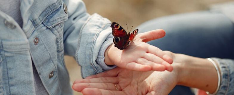 signes des anges et des guides