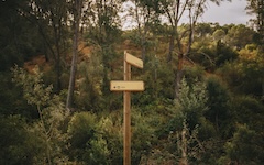 choisir avec la voyance