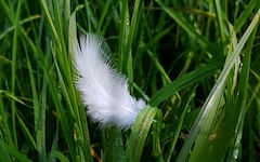 quels sont les 23 signes de presence des anges dans ton quotidien