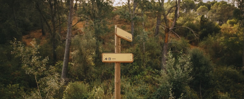 choisir avec la voyance